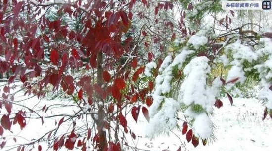 中國最冷小鎮(zhèn)迎來今秋首場大雪