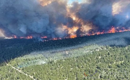 加拿大森林火災 15小時內(nèi)火云引發(fā)710117次雷擊引發(fā)火災