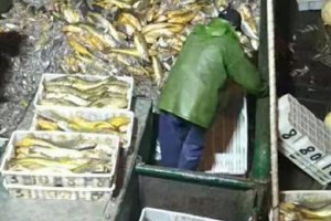 大黃魚船主:957萬貨款