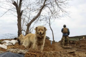 頓涅茨克炮擊造成4人死亡