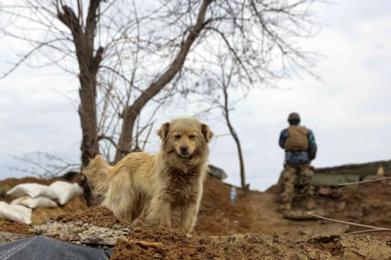 烏克蘭頓涅茨克州州長稱在炮擊中4人死亡