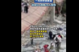 新疆一景區吊橋橋索斷裂致5死24傷