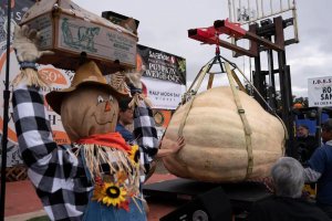 美國一男子種出一個南瓜1064公斤 種南瓜大賽奪冠