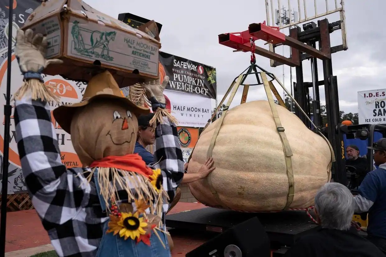 美國一男子種出一個南瓜1064公斤 種南瓜大賽奪冠