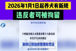 明年起遛狗不拴繩違