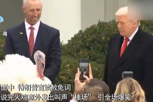 特朗普在白宮赦免火雞 引