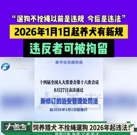 明年起遛狗不拴繩違法