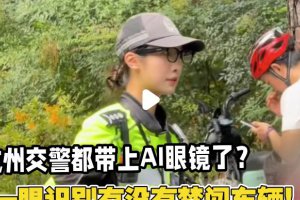 交警新裝備：AI眼鏡一眼看透車輛信息
