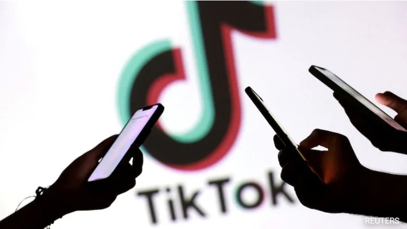 TikTok敦促家長與青少年“進行對話”,以確保他們所說的年齡屬實。
